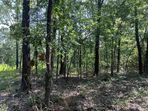 47 Cedar Creek Dr, Harrison, AR 72601