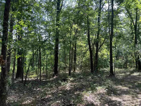 47 Cedar Creek Dr, Harrison, AR 72601 photo 6