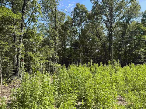 47 Cedar Creek Dr, Harrison, AR 72601 photo 3