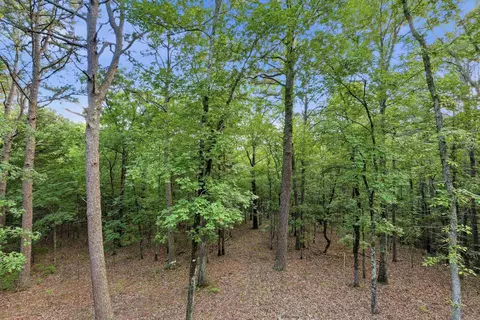 Exterior - 2090 Tannenbaum Rd, Drasco, AR 72530 photo 13 of 21