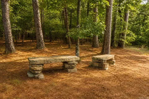 Exterior - 2090 Tannenbaum Rd, Drasco, AR 72530 photo 16 of 21