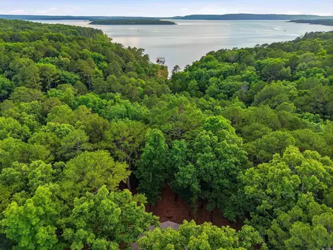 View/Area - 2090 Tannenbaum Rd, Drasco, AR 72530 photo 2 of 4