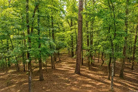 Exterior - 2090 Tannenbaum Rd, Drasco, AR 72530 photo 3 of 21