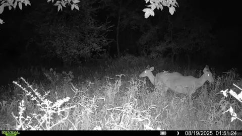 101 John Smith Rd, Beebe, AR 72012 photo 15