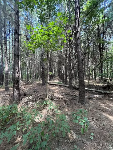 101 John Smith Rd, Beebe, AR 72012 photo 13