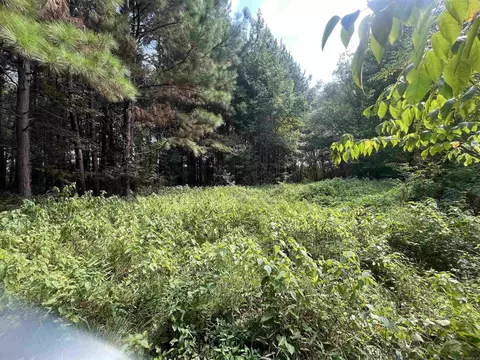 101 John Smith Rd, Beebe, AR 72012 photo 8