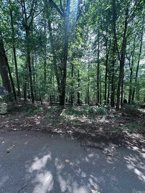 34 37 Almendra Ln, Hot Springs Village, AR 71909