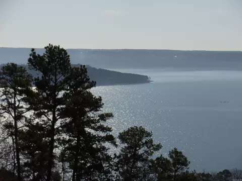 00 Diamond Bluff Rd, Greers Ferry, AR 72067