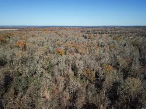 000 White Oak Slough Rd, Arkadelphia, AR 71923