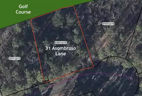 31 Asombroso Ln, Hot Springs Village, AR 71909