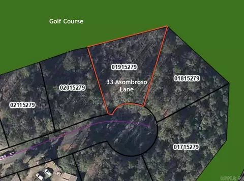 33 Asombroso Ln, Hot Springs Village, AR 71909