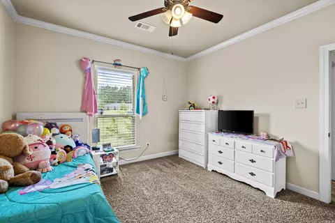 818 Tumbling Cir, Cabot, AR 72023 photo 28
