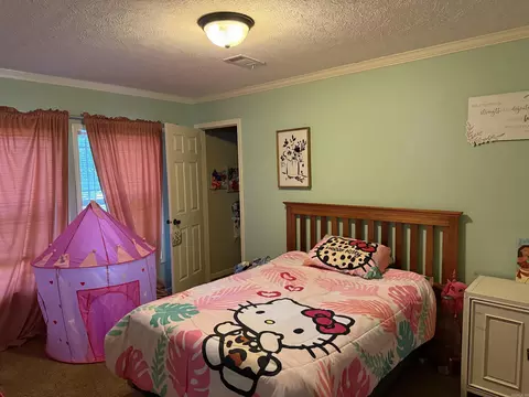5387 E 34, Marmaduke, AR 72443 photo 21