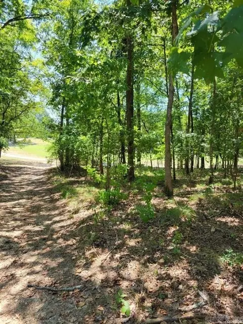 694 Pineapple, Hot Springs, AR 71913