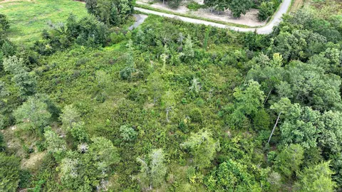 tbd Polk Road 676, Mena, AR 71953