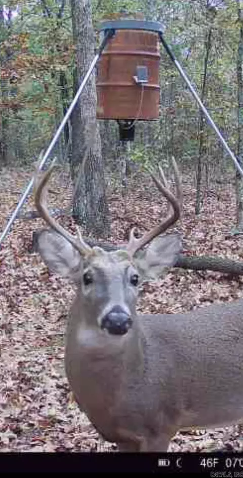 000 Jackson 5 Rd, Bradford, AR 72020