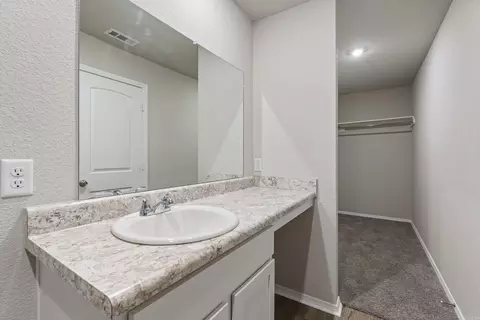 19 Curly Leaf Ln, Conway, AR 72032 photo 18