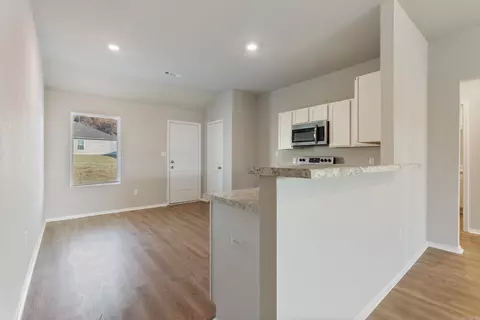 19 Curly Leaf Ln, Conway, AR 72032 photo 8