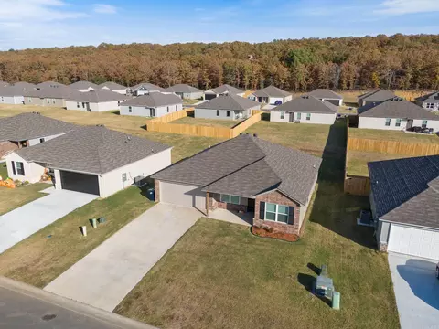 19 Curly Leaf Ln, Conway, AR 72032 photo 27
