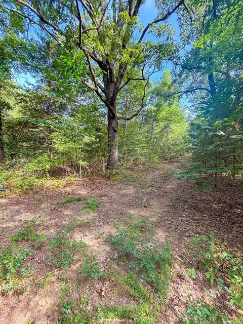 Kenneth Lane, Houston, AR 72070