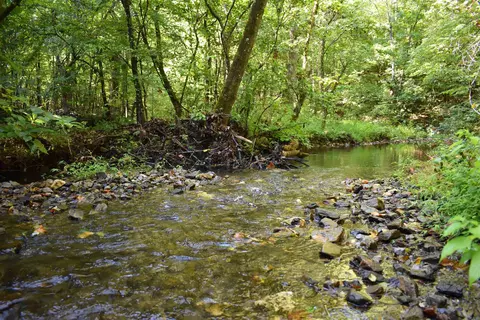 0000 Beech Creek Rd, Norman, AR 71960