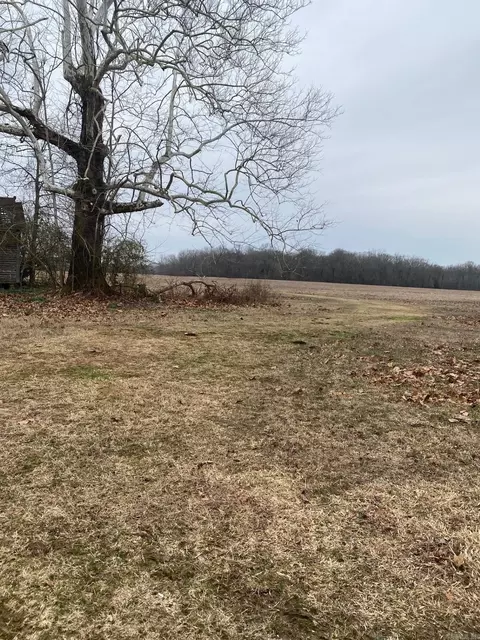 00 N Reveley Rd, Austin, AR 72007 photo 3