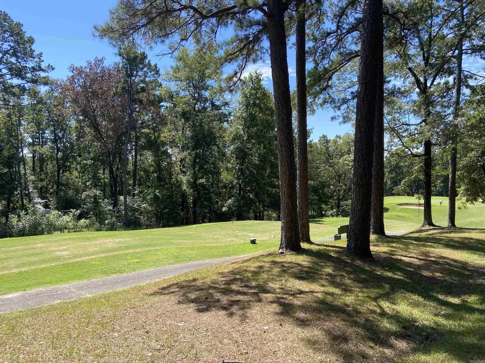 117 Mountain Ranch Spur, Fairfield Bay, AR 72088 photo 3