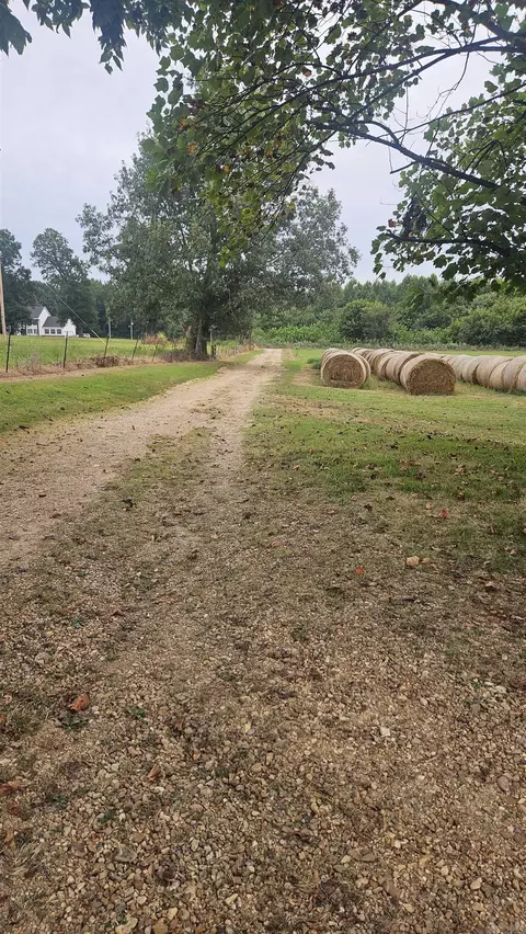 797 County Road 420, Rector, AR 72461 photo 19
