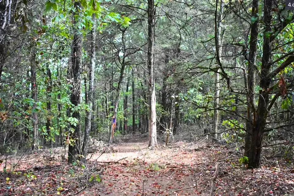  King Lp, Judsonia, AR 72081 photo 10