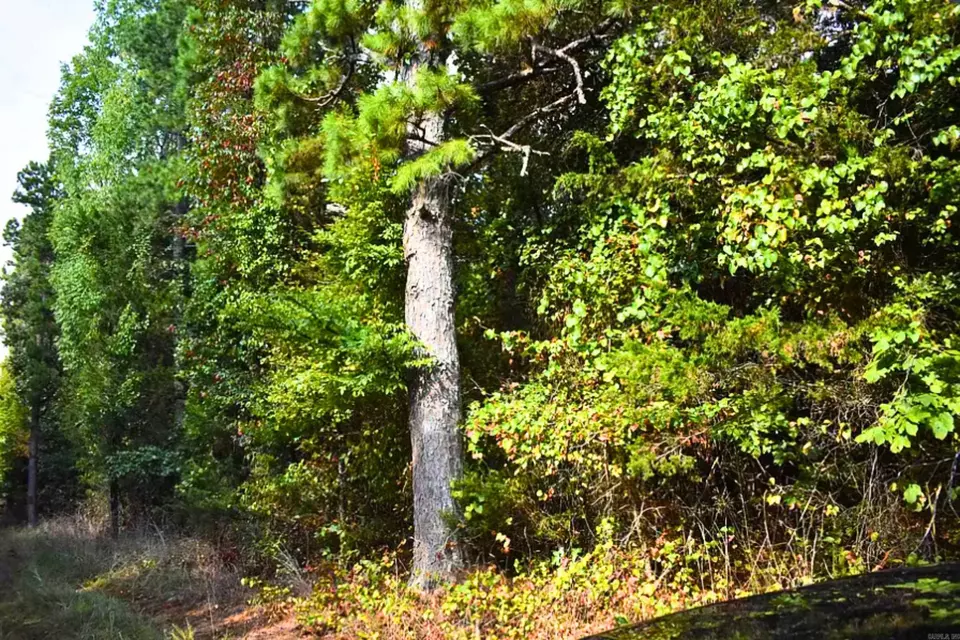  King Lp, Judsonia, AR 72081 photo 15