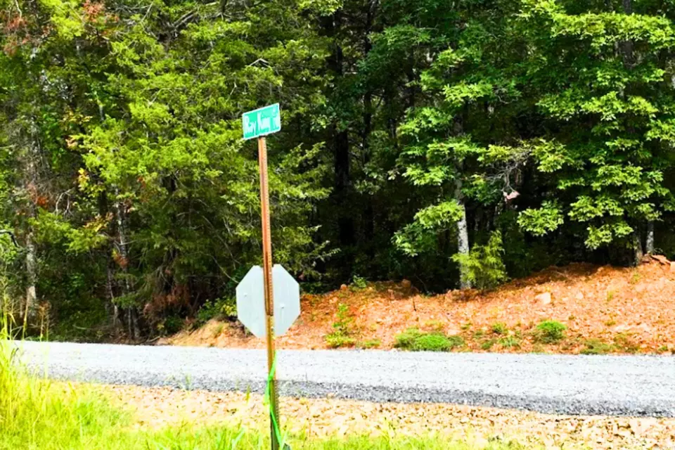  King Lp, Judsonia, AR 72081 photo 8