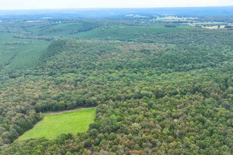  King Lp, Judsonia, AR 72081 photo 12
