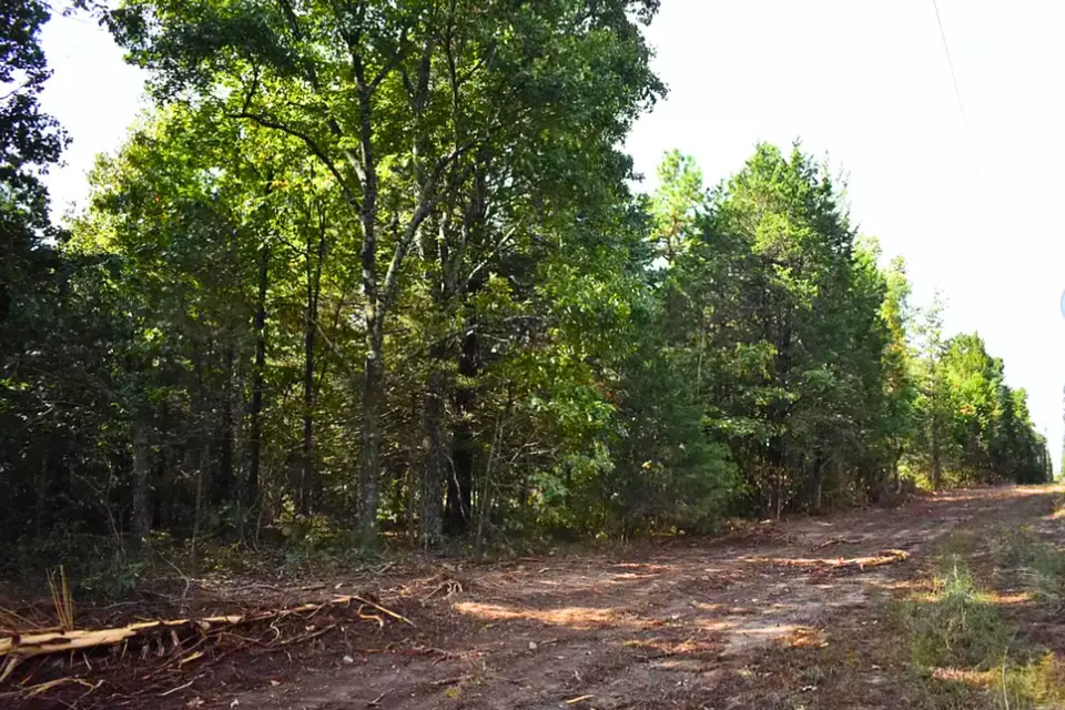  King Lp, Judsonia, AR 72081 photo 14