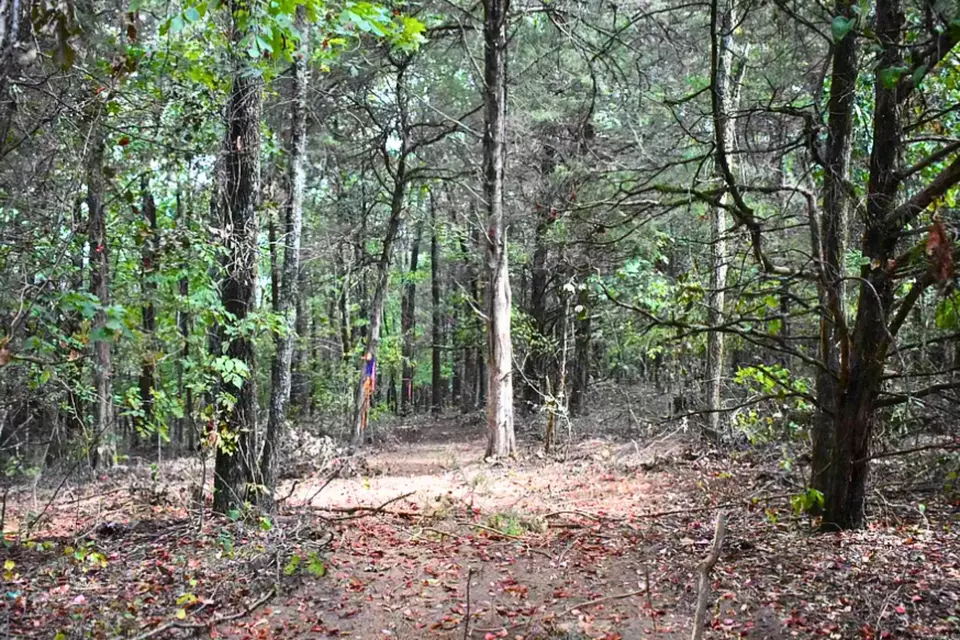  King Lp, Judsonia, AR 72081 photo 23
