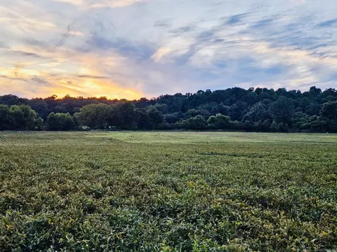 207 Cr 478, Rector, AR 72461
