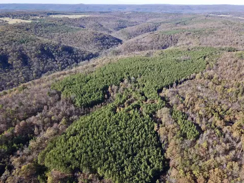 000 Hwy 16 W, Clinton, AR 72031