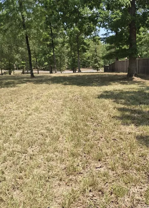 6 Artie Creek Cv, Pine Bluff, AR 71603 photo 6