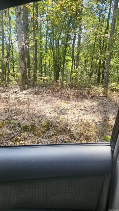 Gilmer Lane, Fountain Lake, AR 71901