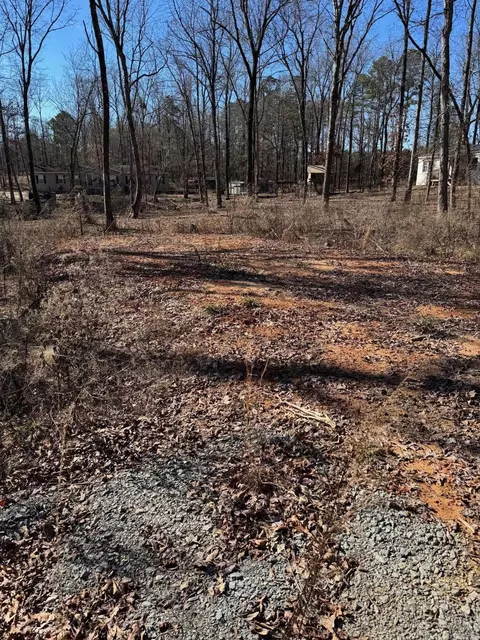 lot1 Mount Olive, Bauxite, AR 72011 photo 2