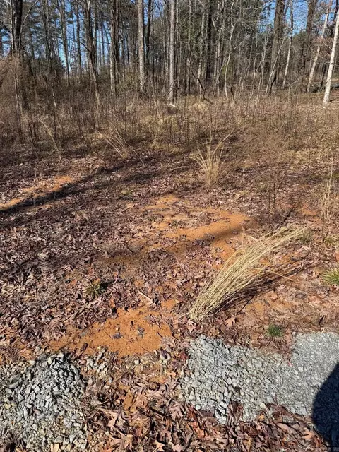 lot1 Mount Olive, Bauxite, AR 72011 photo 3