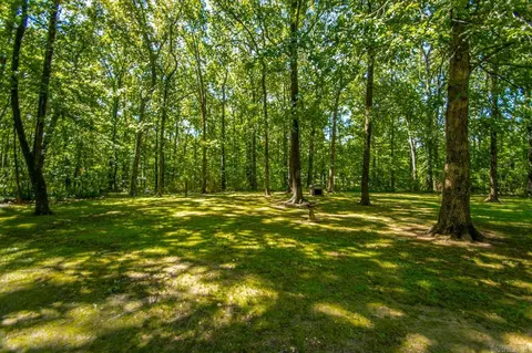 35 Candy Ln, Austin, AR 72007 photo 29