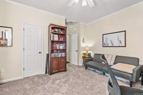 4320 Tree House, Conway, AR 72034 photo 42