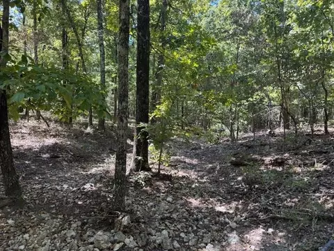 tbd Echowood Cir, Viola, AR 72583 photo 5