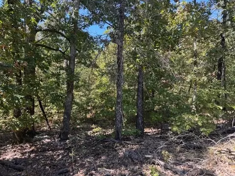 tbd Echowood Cir, Viola, AR 72583 photo 15