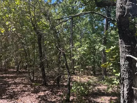 tbd Echowood Cir, Viola, AR 72583 photo 18