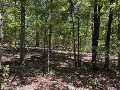 tbd Echowood Cir, Viola, AR 72583 photo 6
