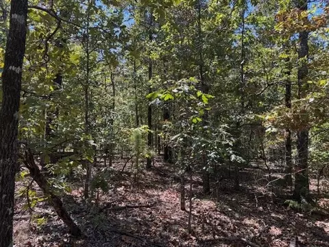 tbd Echowood Cir, Viola, AR 72583 photo 9