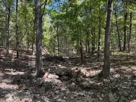 tbd Echowood Cir, Viola, AR 72583 photo 7