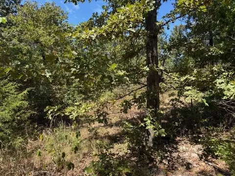 tbd Echowood Cir, Viola, AR 72583 photo 13