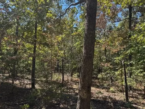 tbd Echowood Cir, Viola, AR 72583 photo 8